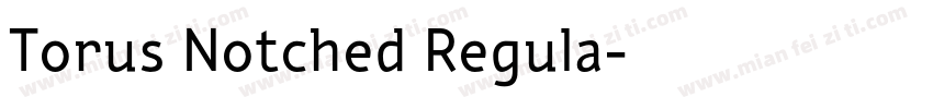 Torus Notched Regula字体转换